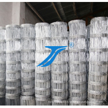 Китай заводского разведения чистой, горячей продажи ПВХ покрытием сварные сетки